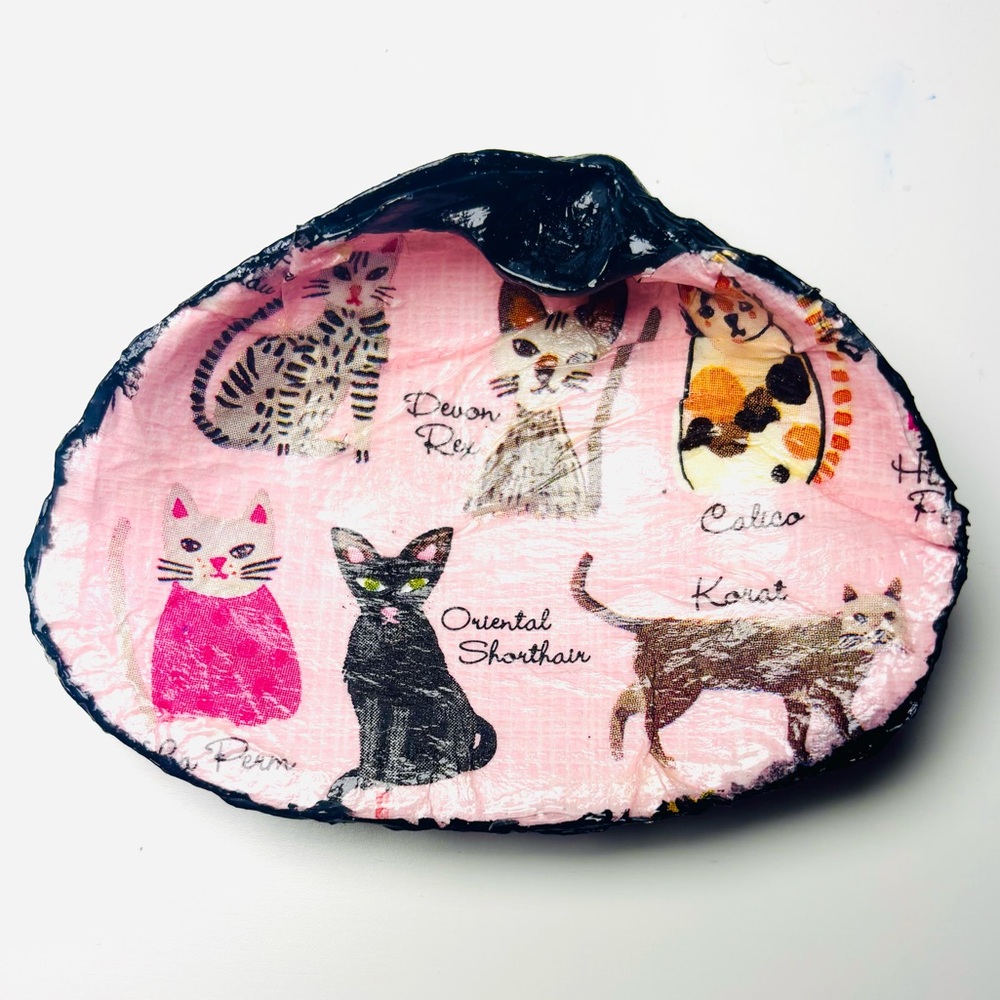 Handmade clam shell trinket dish with cat breed decoupage design. - Picture 3 of 5